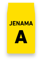 jenama v